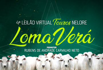 4º LEILÃO VIRTUAL TOUROS NELORE LOMA VERÁ